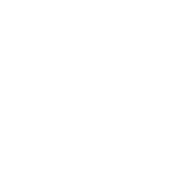 icon shield