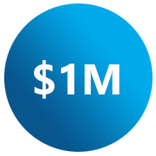$1 million