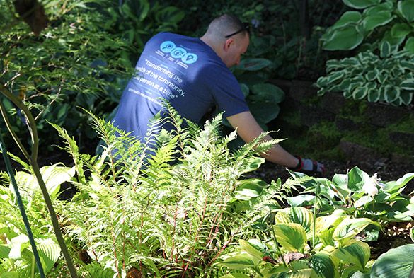 Volunteer helping with garden cleanup