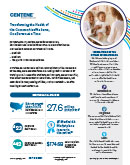 Thumbnail of 2025 Fact Sheet