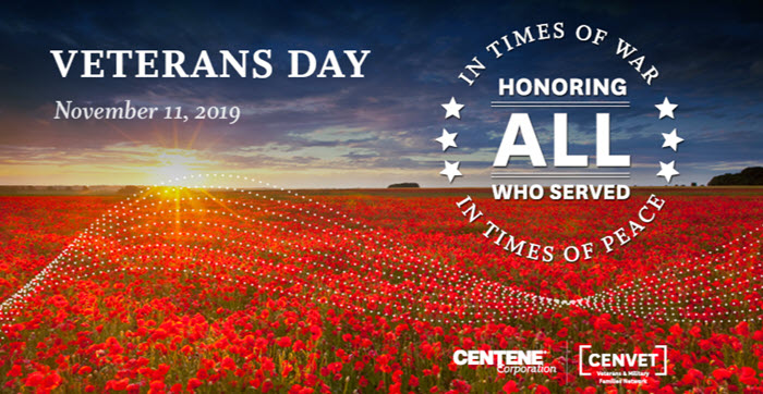 Veterans Day logo overlaid on poppy field