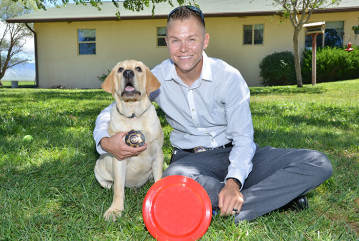 The yellow Labrador, named Leo, has completed training and currently works as a crisis response canine in Pima County, Arizona.